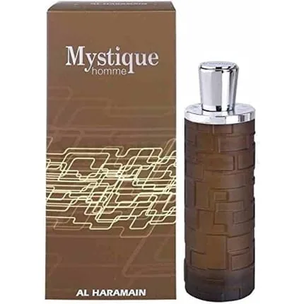 Mystique Homme Men 100ml Perfume Spray