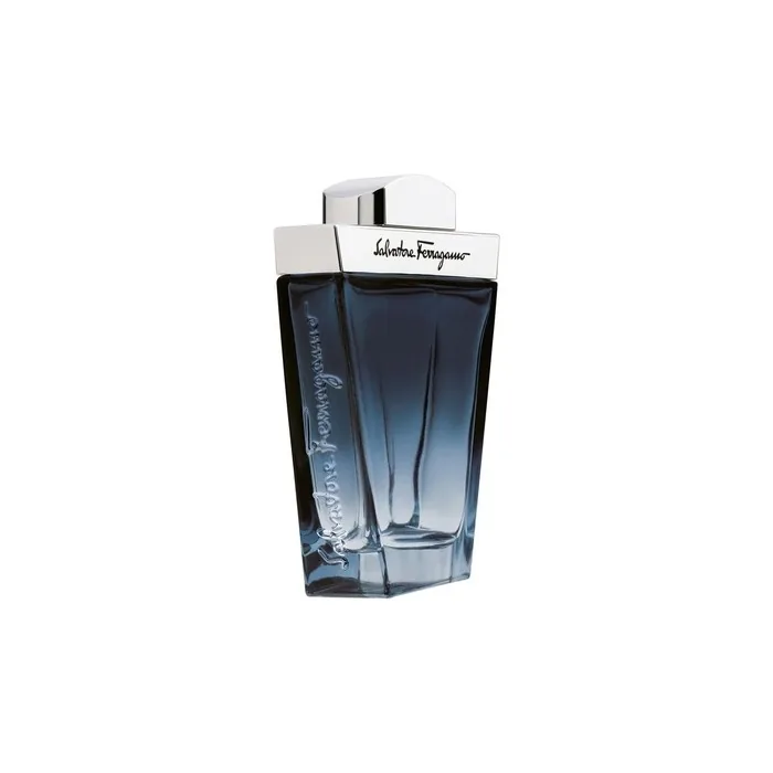 Salvatore Ferragamo Subtil Pour Homme Eau De Toilette Spray 100ml