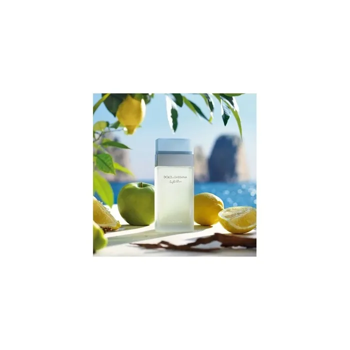 Dolce & Gabbana Light Blue Eau De Toilette Spray For Women 100ml