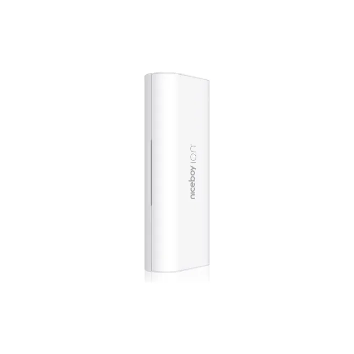 Niceboy Ion Sonic Travel Kit For Toothbrush White 1 Pc