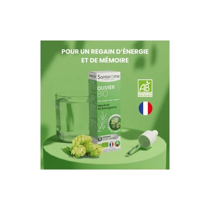 Santarome Organic Olive Oil Gemmotherapy Bud Macerate for Memory