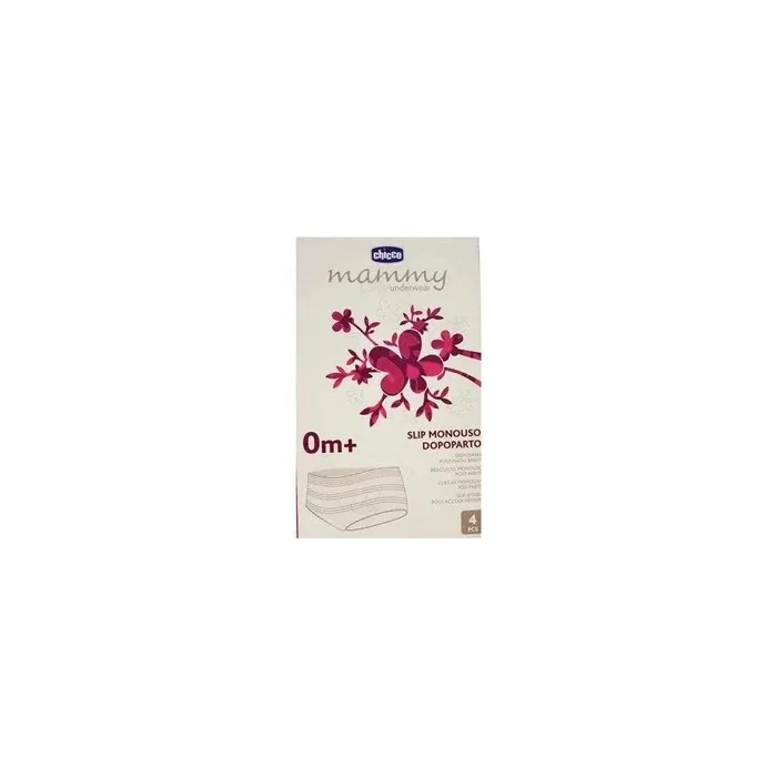 Chicco Disposable Mesh Panty 4 Units