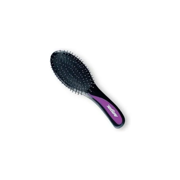 Top Choice Popular Hairbrush 2731