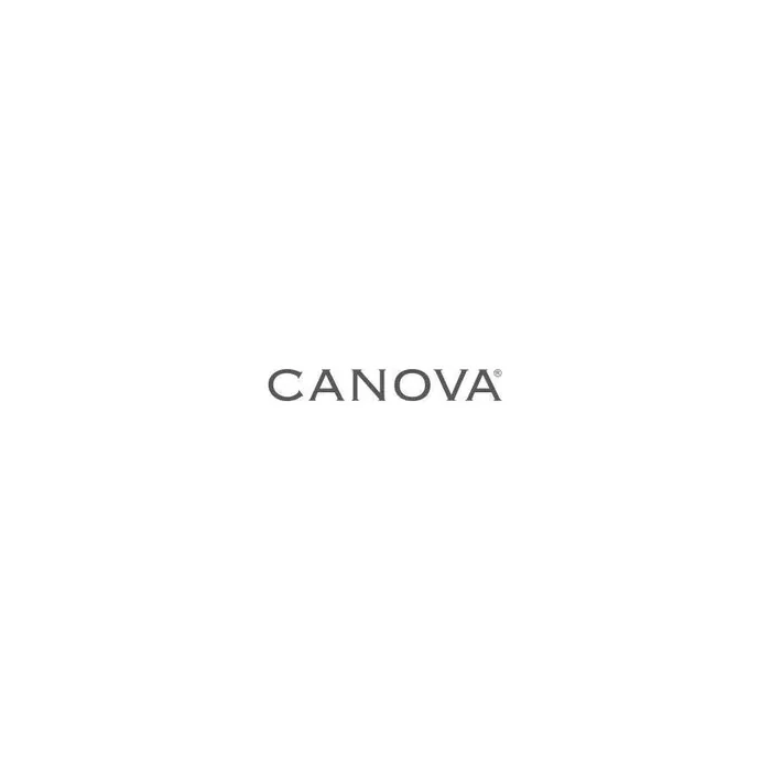 Sifarma Spa Division Canova Canova Salipil Spray 100 Ml