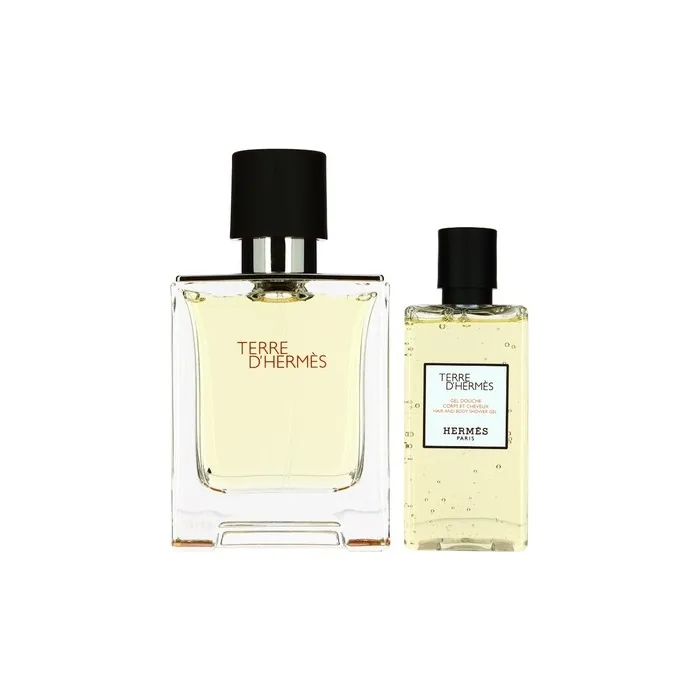 Hermes Terre D'Hermes Eau De Toilette Spray Set 100ml + Shower Gel 80ml