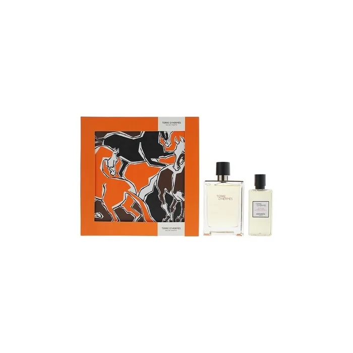 Hermes Terre D'Hermes 2 Piece Gift Set Eau De Toilette 100ml And Hair & Body Shower Gel 80ml