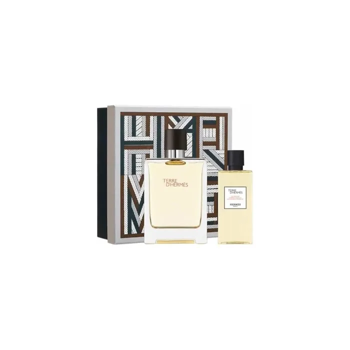 Herms Terre D'Herms Eau De Toilette Spray 100ml Set
