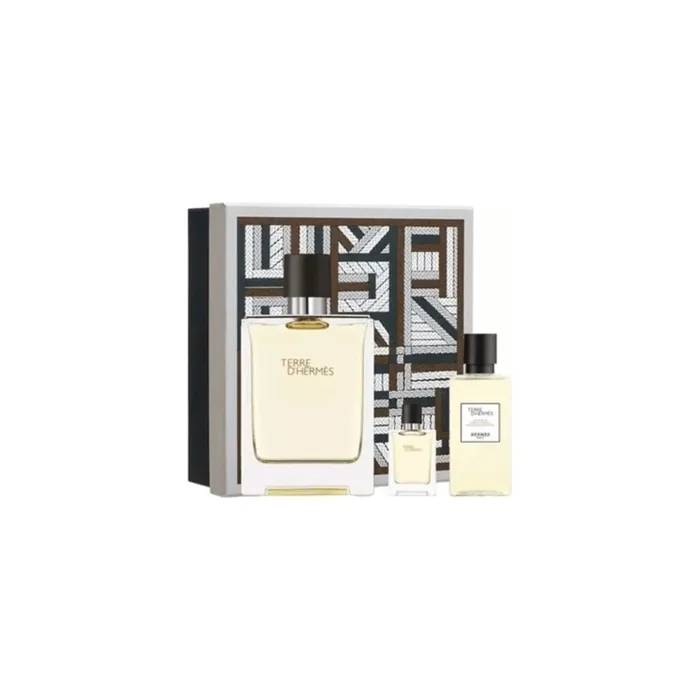 Hermes Terre D'Hermes Eau de Toilette Men's Gift Set Spray 100ml