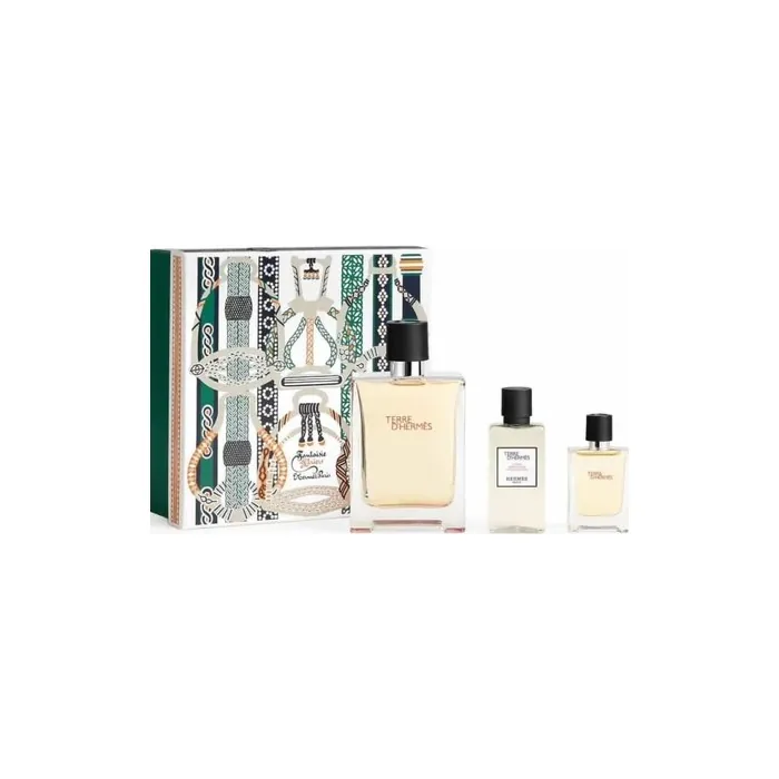 Herms Terre D'Hermes Eau De Toilette Spray Gift Set 100ml Edt 40ml After Shave 125ml Miniature