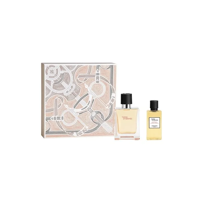 Hermes Terre D'Hermes Eau De Toilette Spray Set 50ml + Shower Gel 40ml