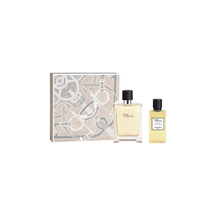 Hermes Terre D'Hermes Eau De Toilette Spray 100ml + Shower Gel 80ml Set