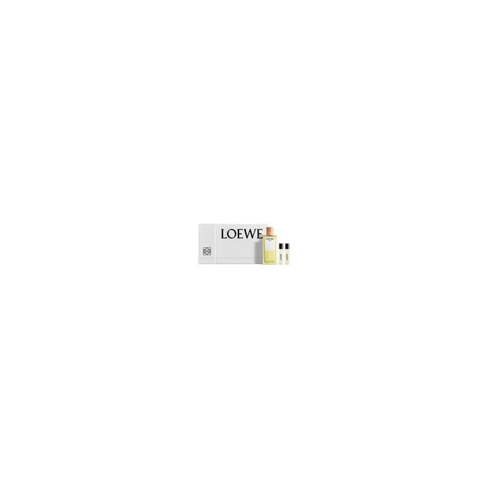 Loewe Agua Eau De Toilette Spray 100 Ml Nav24 Sets