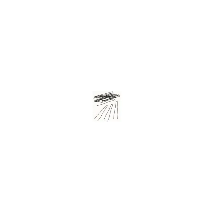 BIFFOLI Black Hairpins for Dark Hair