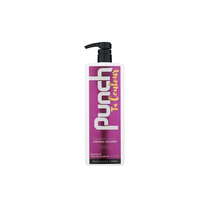 Ducastel Duc Punch Your Color Mask 500ml