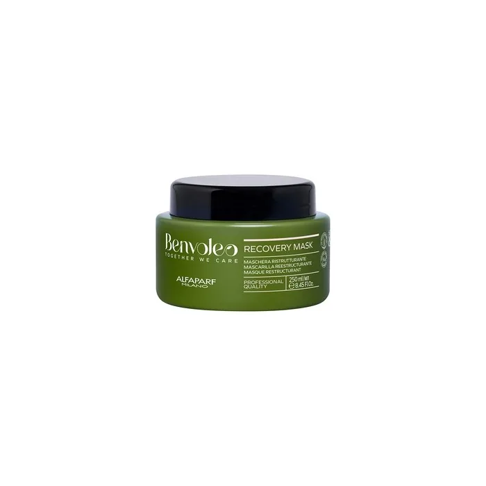 Alfaparf Milano Benvoleo Recovery Mask 250ml Professional Hair Care