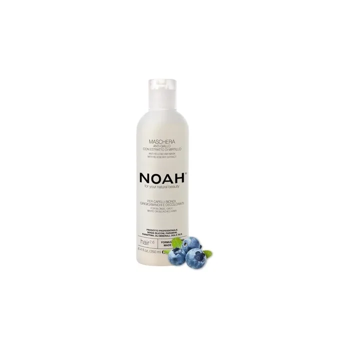 Salvatore Ferragamo Noah Arandanos Antiyellow Hair Mask 250ml