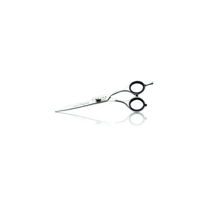 Iwasaky Okayama 6" Hairdressing Scissors