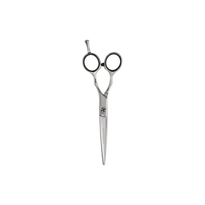 Artero 6 Hairdresser Queen Scissors