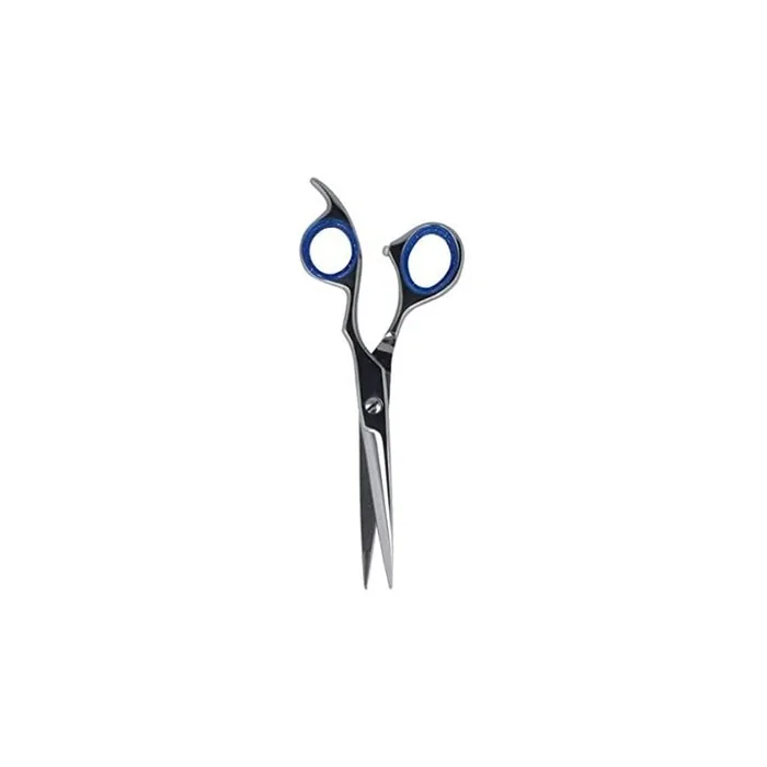 Zainesh Professional Silver and Blue Metal Scissors 7 Inches - Standard