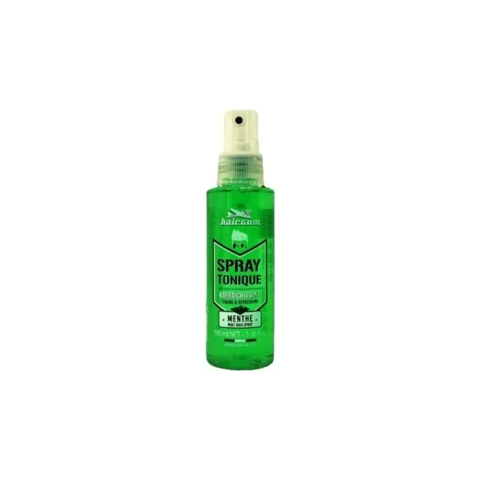 Ariland Hairgum Tonic Spray Mint 100 Milliliters