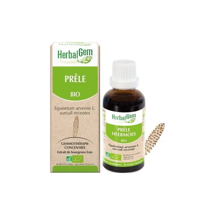 Herbalgem Organic Horsetail 30ml