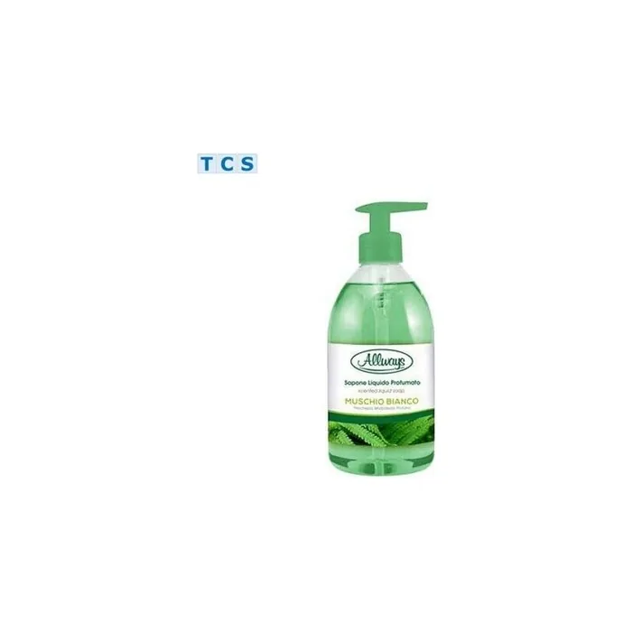 ALLWAYS White Moss Liquid Soap with Dispenser 1L
