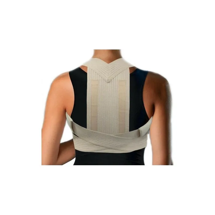Anatomic Line Kyphosis Support Belt Large