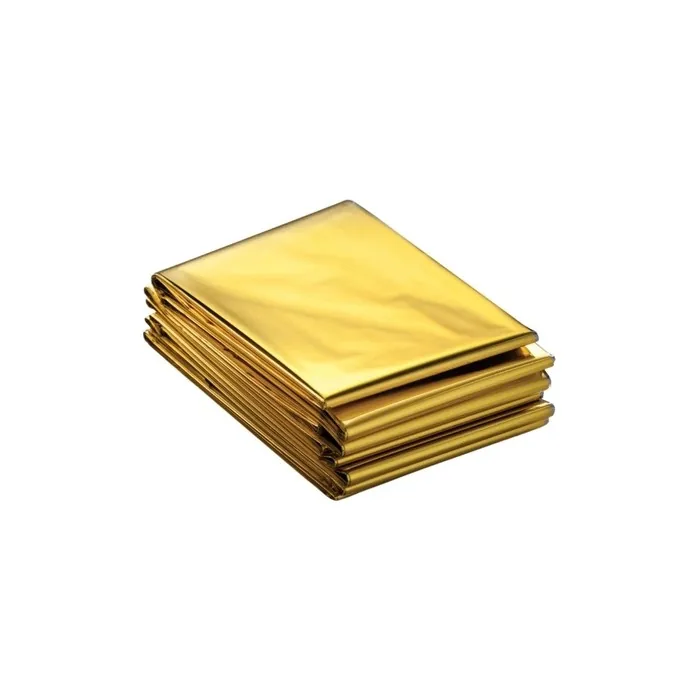 Xanitalia Pro Xan Pro Thermal Cover For Hair Care Gold/Silver Polybag 25 Pieces
