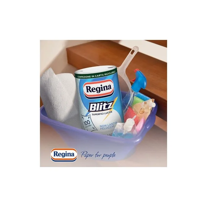 Regina Blitz Kitchen Roll, 1 Roll