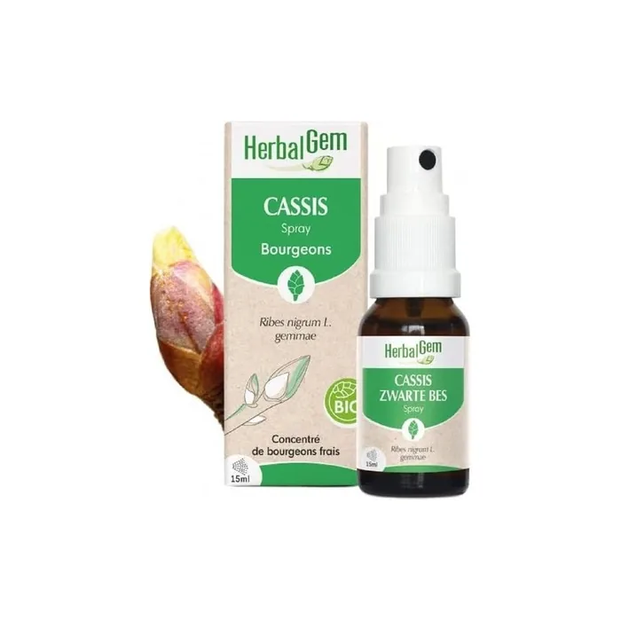 Herbalgem Blackcurrant Spray Organic 15ml