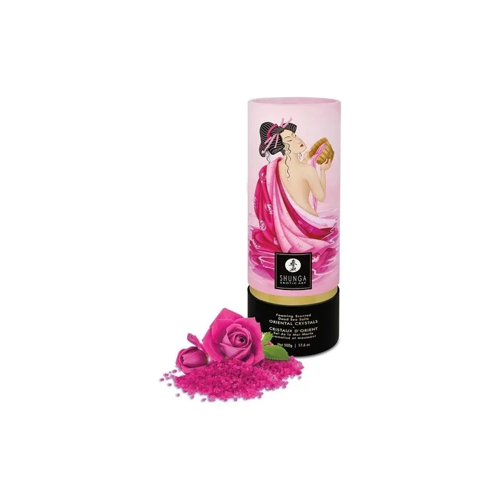 Shunga Lubricant Toy Care Transparent One Size
