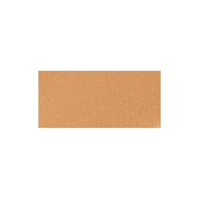 Mac Cosmetics Pro Longwear Paint Pot Eyeshadow 5 Grams