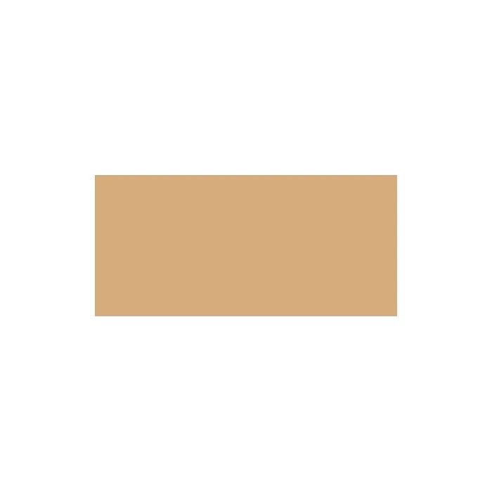 Lancme Teint Idole Ultra Wear Stick 05 Beige Noisette