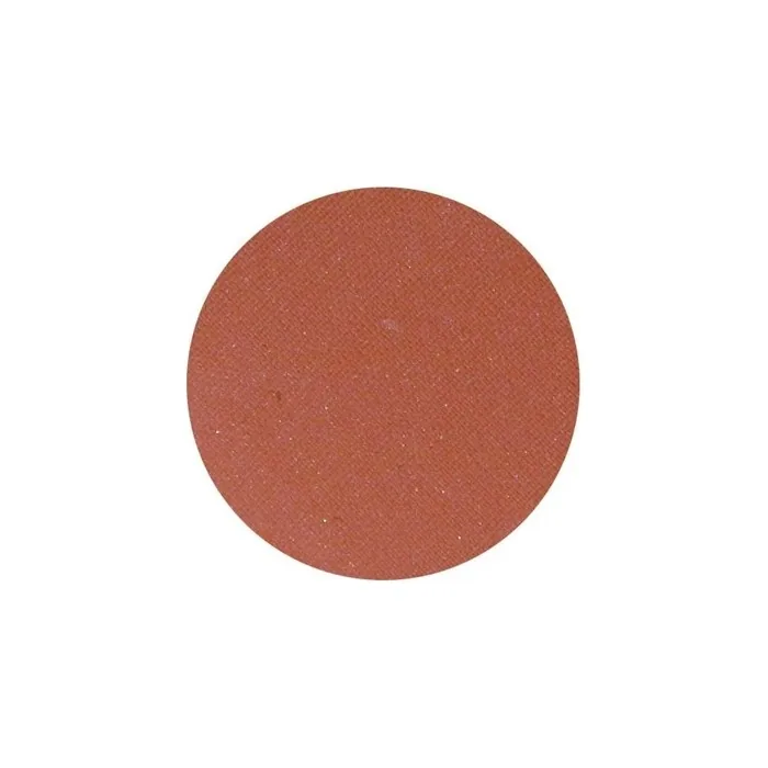 Parisax Mat Eyeshadow Terre De Sienne