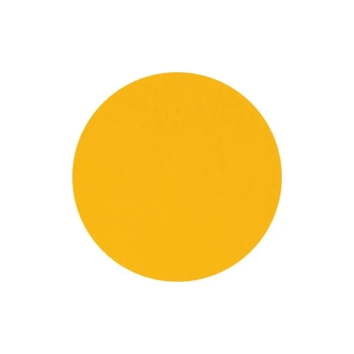 Parisax Matte Yellow Eyeshadow