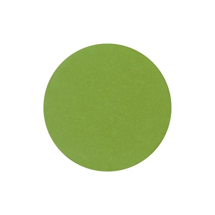 Parisax Matte Eyeshadow Light Green - Perfect For A Subtle Look