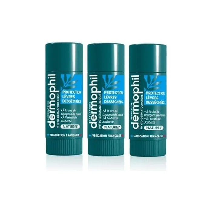 Dermophil Indien Organic Lip Protection Stick 4g - Pack of 2