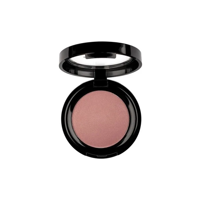 Professional Rouge Powder Cheek Blush 02 6g Pierre Rene