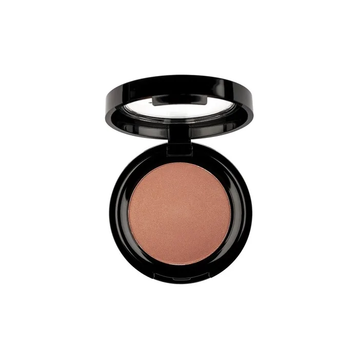 Pierre Rene Professional Blush Powder 07 6g