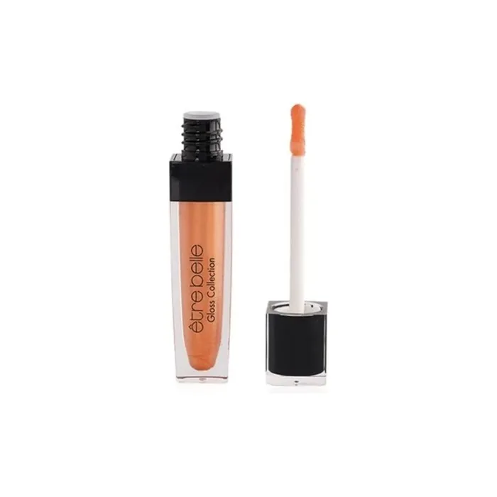 Etre Belle Gloss Collection Lipstick Nº 42