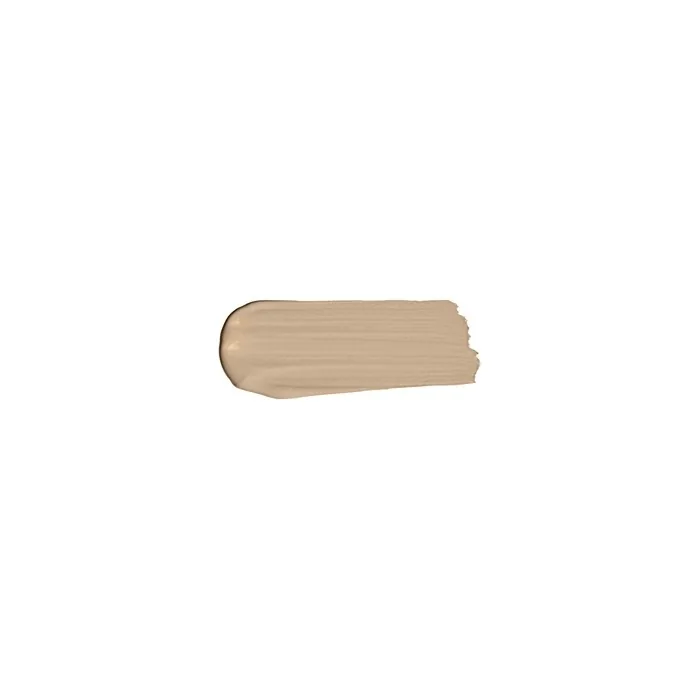 Dolce & Gabbana Mattifying Foundation Spf 20 Everlast Foundation 27 Ml