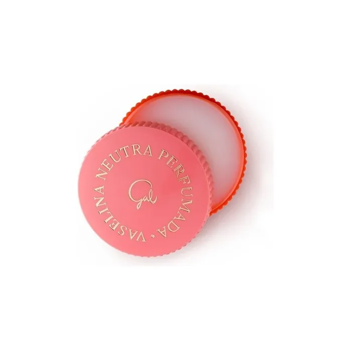 GAL Perfumed Vaseline Lip Balm 40ml