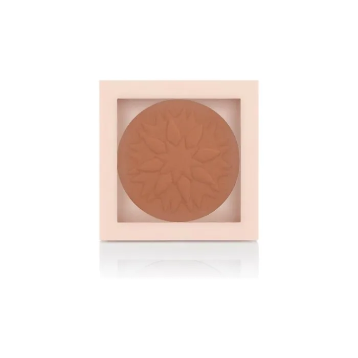PASTEL Show Your Purity Face Powder No. 104 9.3g