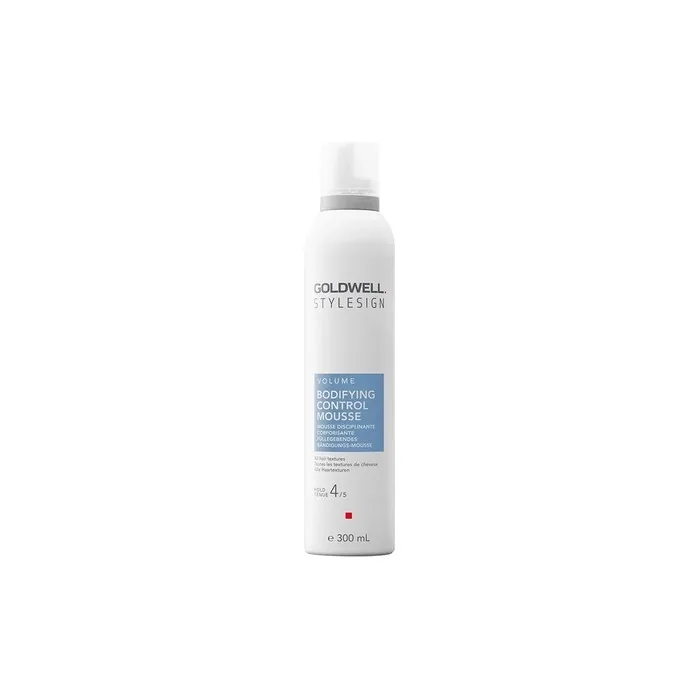 Stylesign Volume Foam For Volume And Control 300ml