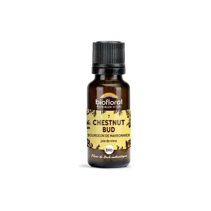Biofloral 07 Chestnut Bud Organic Horse Chestnut Buds 19.5g Bach Flower