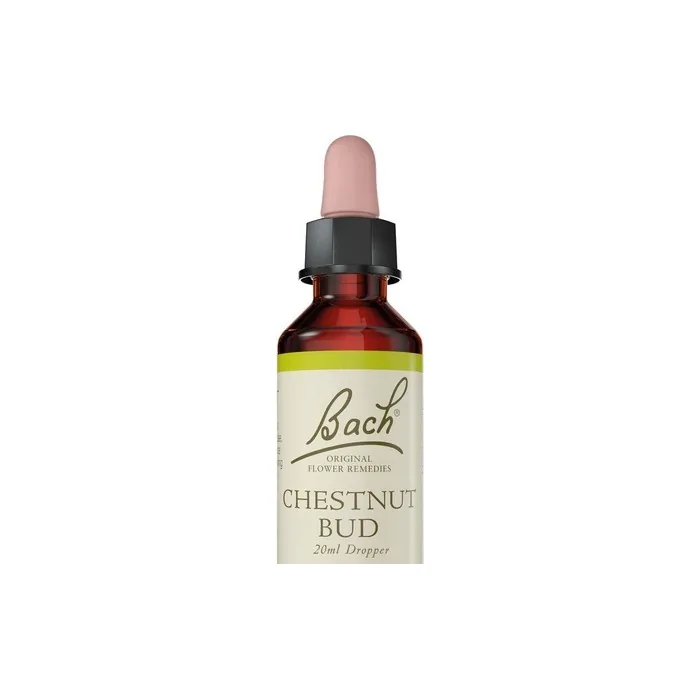 Bach Original Flower Remedy Chestnut Bud Vegan Formula 20ml