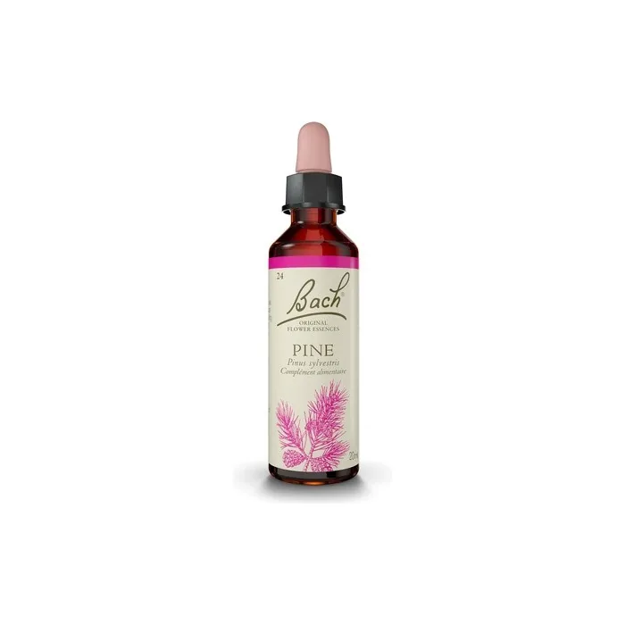 Fleurs De Bach Original Pine 20ml