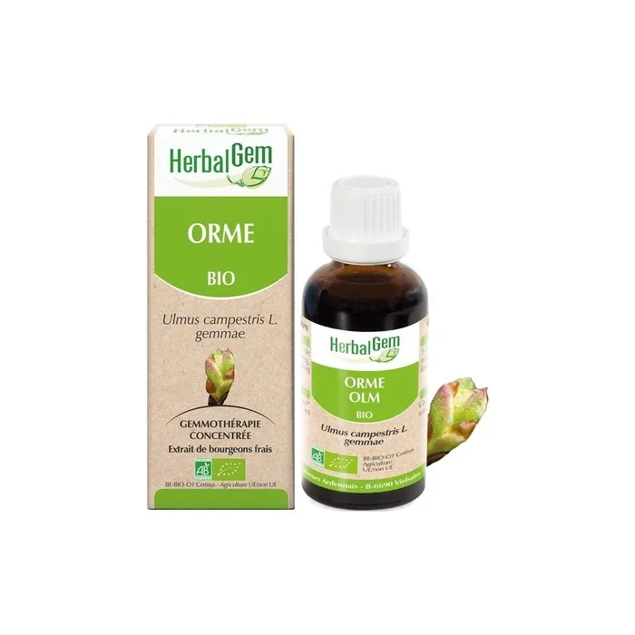 Concentrated Mother Macerates Elm 30ml