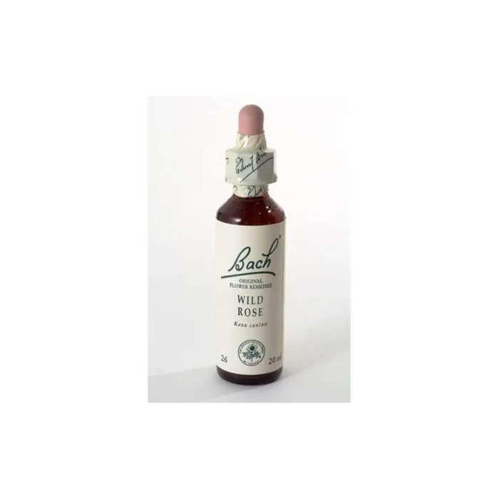 Schwabe Pharma Wildrose Bach Flower Original Herbal Remedy 20ml