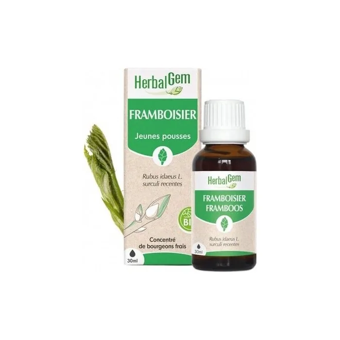 Herbalgem Organic Raspberry Bud Extract 30ml